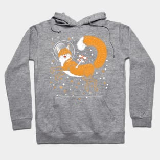 SPACE FOX! Hoodie